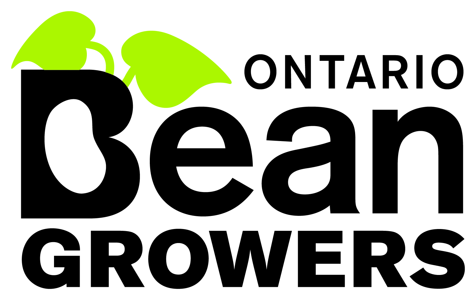 Logo de l’organisation Ontario Bean Growers 