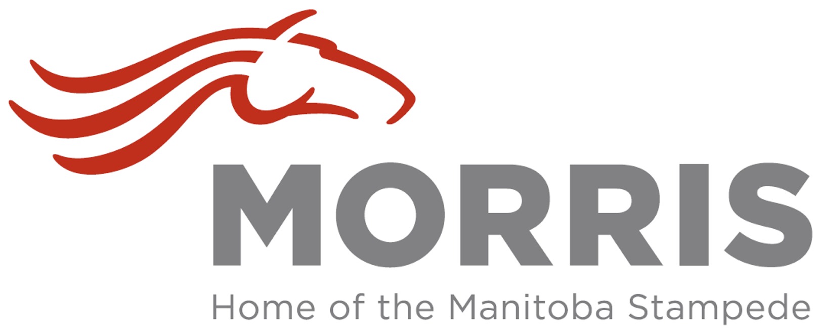 Organization logo of Town of Morris